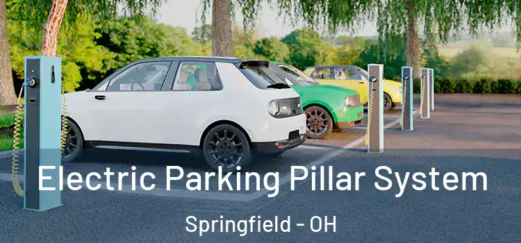Electric Parking Pillar System Springfield - OH