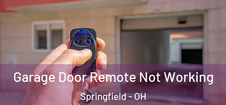  Garage Door Remote Not Working Springfield - OH