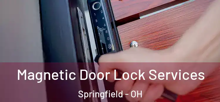 Magnetic Door Lock Services Springfield - OH