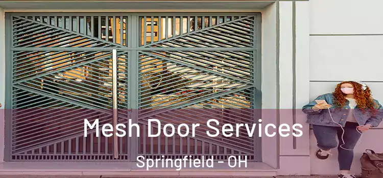 Mesh Door Services Springfield - OH