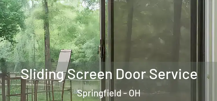 Sliding Screen Door Service Springfield - OH